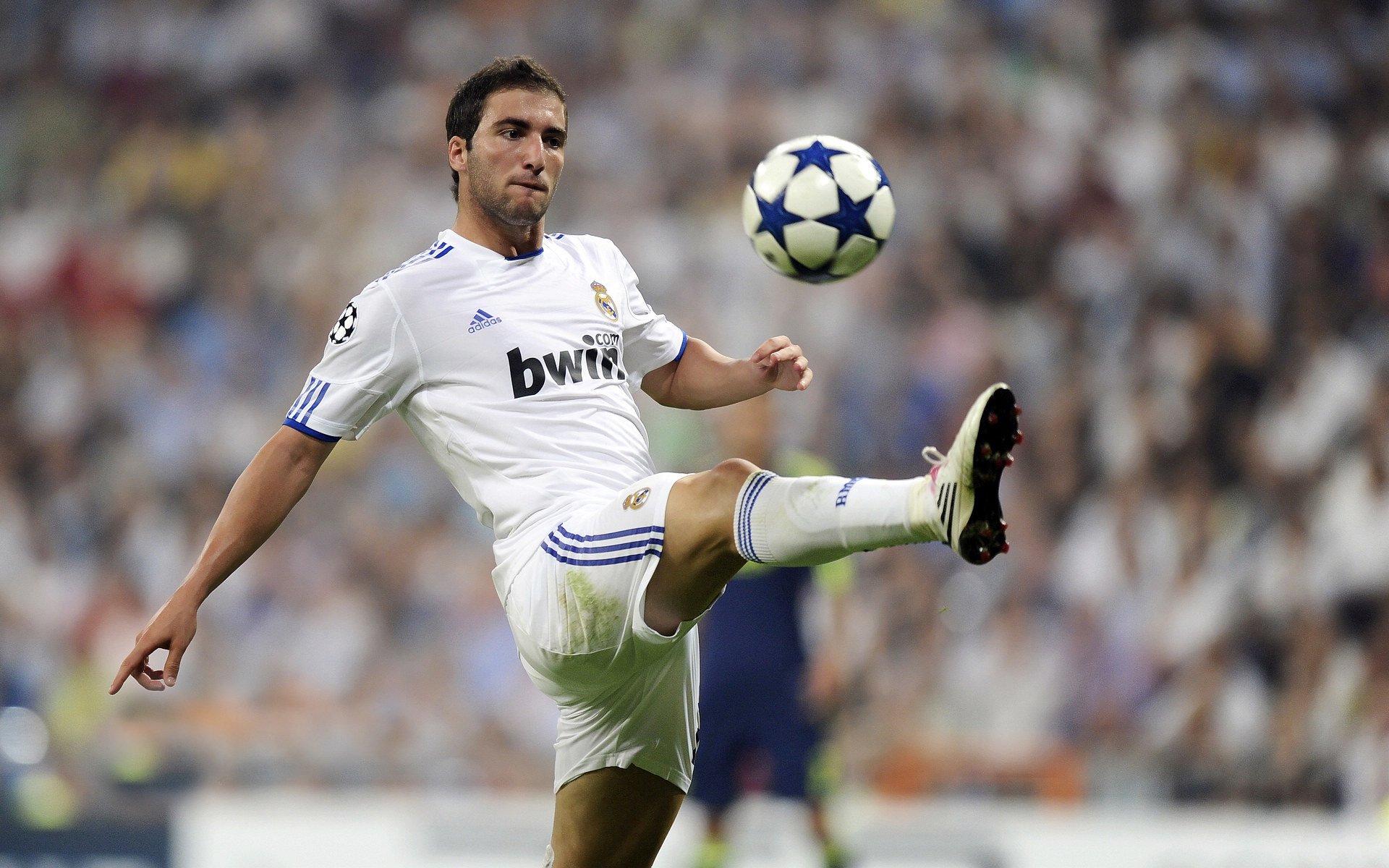 意大利队弃用老将，转投年轻阵容，意大利队公布大名单