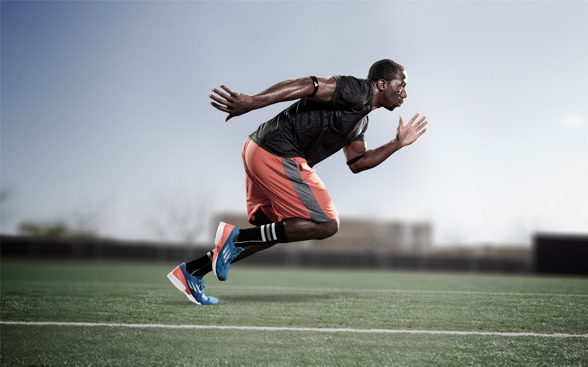 运动员成长档案：从新手到超级巨星的时间线，运动员成长过程